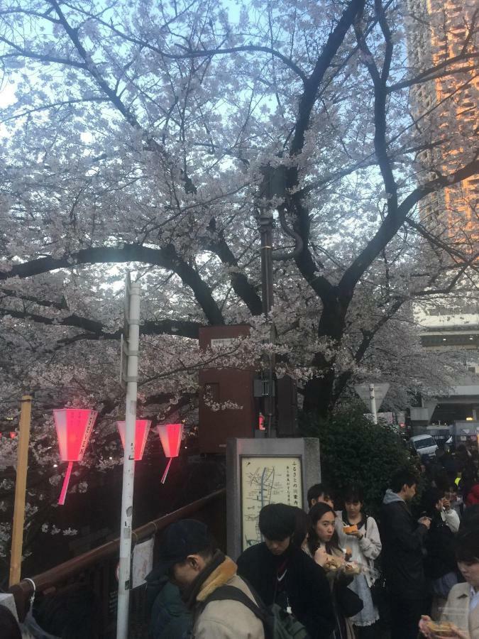 Coco Nakameguro302 Διαμέρισμα Τόκιο Εξωτερικό φωτογραφία